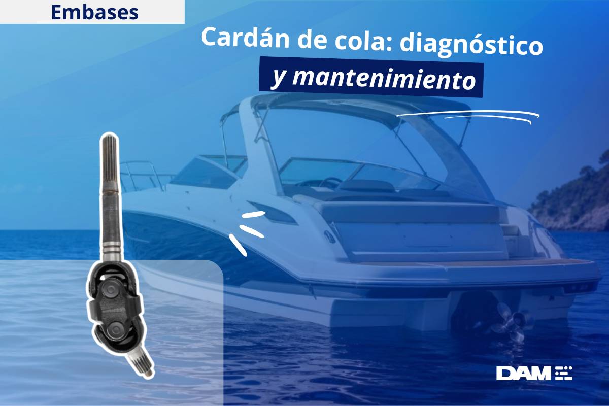 Cardán de cola: signos de desgaste y consejos de reparación